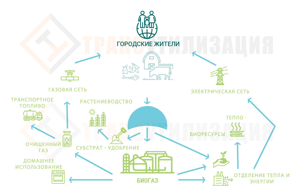 Альтернативный источник энергии биогаз